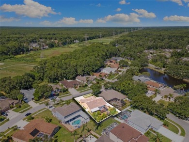 Welcome to your dream home in the exclusive gated community of on East Lake Woodlands Country Club in Florida - for sale on GolfHomes.com, golf home, golf lot