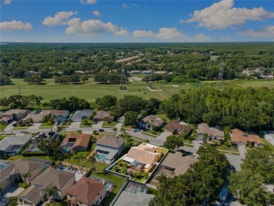 Welcome to your dream home in the exclusive gated community of on East Lake Woodlands Country Club in Florida - for sale on GolfHomes.com, golf home, golf lot