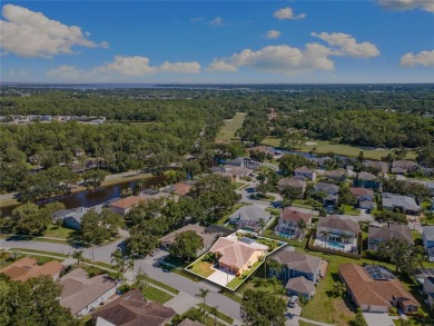 Welcome to your dream home in the exclusive gated community of on East Lake Woodlands Country Club in Florida - for sale on GolfHomes.com, golf home, golf lot