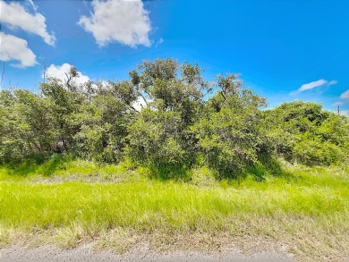 Amazing 3 lots adjoined in L shape -  2 lots on Castle Oak and 1 on Lamar Golf Course in Texas - for sale on GolfHomes.com, golf home, golf lot