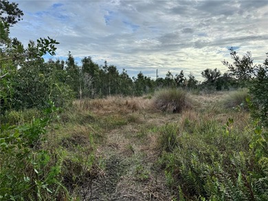 Welcome to 15769 Hennipen Circle, a residential homesite in the on Rotonda Golf and Country Club - Long Marsh  in Florida - for sale on GolfHomes.com, golf home, golf lot