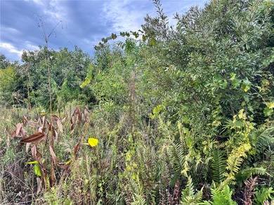 Welcome to 15769 Hennipen Circle, a residential homesite in the on Rotonda Golf and Country Club - Long Marsh  in Florida - for sale on GolfHomes.com, golf home, golf lot