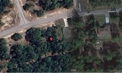 Beautiful future homesite in the booming subdivision of Citrus on Pine Ridge Community Golf and Country Club in Florida - for sale on GolfHomes.com, golf home, golf lot