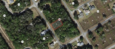 Nice building lot is Citrus Springs!! FLAT...with public water on Citrus Springs Country Club in Florida - for sale on GolfHomes.com, golf home, golf lot