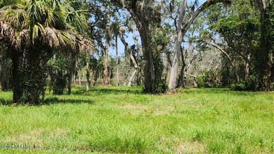 Welcome to Nature's Paradise with this extraordinary 2/3 acre on Queens Harbour Yacht and Country Club in Florida - for sale on GolfHomes.com, golf home, golf lot