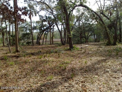 Welcome to Nature's Paradise with this extraordinary 2/3 acre on Queens Harbour Yacht and Country Club in Florida - for sale on GolfHomes.com, golf home, golf lot