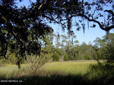 Welcome to Nature's Paradise with this extraordinary 2/3 acre on Queens Harbour Yacht and Country Club in Florida - for sale on GolfHomes.com, golf home, golf lot