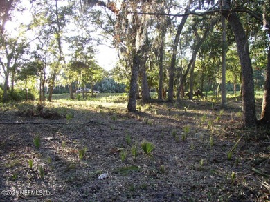 Welcome to Nature's Paradise with this extraordinary 2/3 acre on Queens Harbour Yacht and Country Club in Florida - for sale on GolfHomes.com, golf home, golf lot