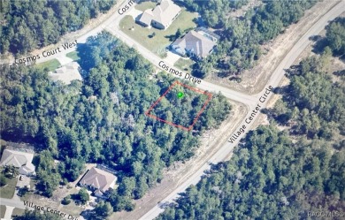 A nice sized flat lot with a deep dense gorgeous greenbelt and on Sugarmill Woods Golf and Country Club in Florida - for sale on GolfHomes.com, golf home, golf lot