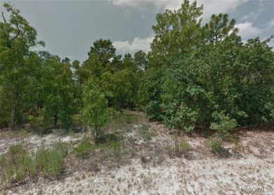 A nice sized flat lot with a deep dense gorgeous greenbelt and on Sugarmill Woods Golf and Country Club in Florida - for sale on GolfHomes.com, golf home, golf lot