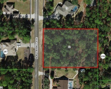 Dream big on this 1-acre lot, ideally located in the on Pine Ridge Community Golf and Country Club in Florida - for sale on GolfHomes.com, golf home, golf lot