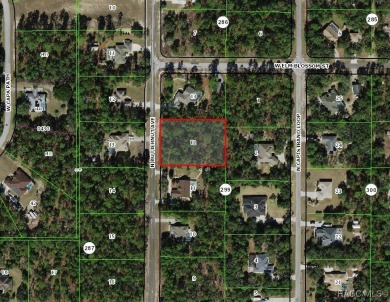 Dream big on this 1-acre lot, ideally located in the on Pine Ridge Community Golf and Country Club in Florida - for sale on GolfHomes.com, golf home, golf lot