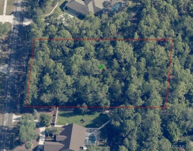 Dream big on this 1-acre lot, ideally located in the on Pine Ridge Community Golf and Country Club in Florida - for sale on GolfHomes.com, golf home, golf lot