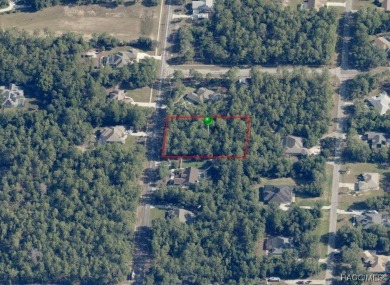 Dream big on this 1-acre lot, ideally located in the on Pine Ridge Community Golf and Country Club in Florida - for sale on GolfHomes.com, golf home, golf lot