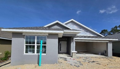 FANTASTIC 3 BEDROOM / 2 BATH GREAT ROOM PLAN WITH HUGE FAMILY on Twisted Oaks Golf Club in Florida - for sale on GolfHomes.com, golf home, golf lot