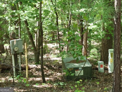 This lot sits in Big Canoe which a is a premier, sought after on Big Canoe Golf Club - Cherokee in Georgia - for sale on GolfHomes.com, golf home, golf lot