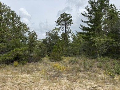 Don't miss this incredible opportunity to own a beautiful vacant on Citrus Springs Country Club in Florida - for sale on GolfHomes.com, golf home, golf lot