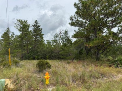 Don't miss this incredible opportunity to own a beautiful vacant on Citrus Springs Country Club in Florida - for sale on GolfHomes.com, golf home, golf lot