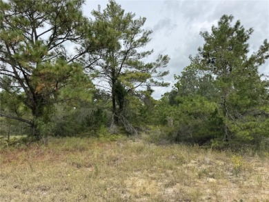 Don't miss this incredible opportunity to own a beautiful vacant on Citrus Springs Country Club in Florida - for sale on GolfHomes.com, golf home, golf lot