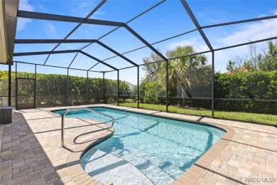Resort-Style Living in Terra Vista of Citrus Hills!
Gorgeous St on Skyview At Terra Vista Golf and Country Club in Florida - for sale on GolfHomes.com, golf home, golf lot