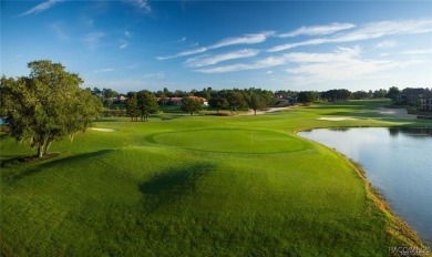 Resort-Style Living in Terra Vista of Citrus Hills!
Gorgeous St on Skyview At Terra Vista Golf and Country Club in Florida - for sale on GolfHomes.com, golf home, golf lot