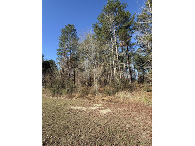 This beautiful partially wooded lot on Hole 14 of Shadow Ridge on Shadow Ridge Golf Club in Mississippi - for sale on GolfHomes.com, golf home, golf lot