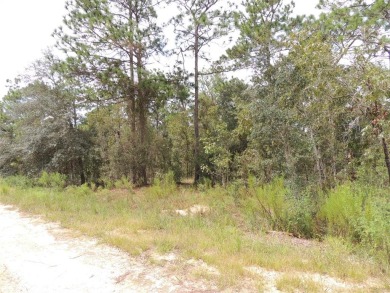 1/3 ACRE BUILDING LOT in WILLISTON HIGHLANDS GOLF & COUNTRY CLUB on Williston Highlands Golf and Country Club in Florida - for sale on GolfHomes.com, golf home, golf lot