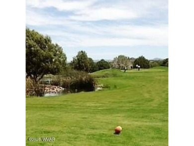 This well-kept park model boasts vaulted ceilings and natural on Juniper Ridge R.V. Golf Resort in Arizona - for sale on GolfHomes.com, golf home, golf lot