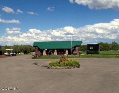 This well-kept park model boasts vaulted ceilings and natural on Juniper Ridge R.V. Golf Resort in Arizona - for sale on GolfHomes.com, golf home, golf lot