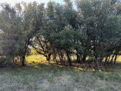 Discover .29 acres of prime land at 263 Feather Bay Dr on Hideout Golf Club and Resort  in Texas - for sale on GolfHomes.com, golf home, golf lot