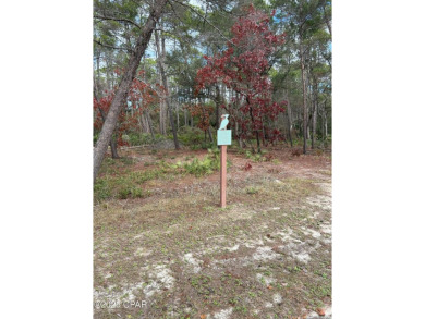 Nice buildable lot available in Wild Heron, a 734-Acre Coastal on Sharks Tooth Golf Club in Florida - for sale on GolfHomes.com, golf home, golf lot