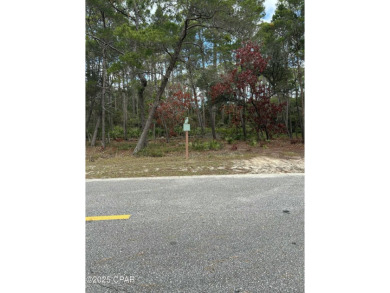 Nice buildable lot available in Wild Heron, a 734-Acre Coastal on Sharks Tooth Golf Club in Florida - for sale on GolfHomes.com, golf home, golf lot