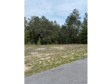 Discover the perfect blend of privacy and convenience with this on Rainbow Springs Golf and Country Club in Florida - for sale on GolfHomes.com, golf home, golf lot