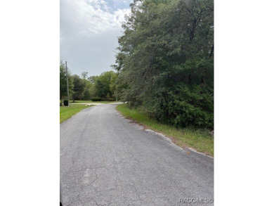 Discover the perfect blend of privacy and convenience with this on Rainbow Springs Golf and Country Club in Florida - for sale on GolfHomes.com, golf home, golf lot