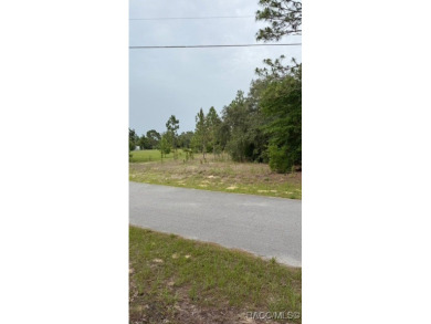 Discover the perfect blend of privacy and convenience with this on Rainbow Springs Golf and Country Club in Florida - for sale on GolfHomes.com, golf home, golf lot