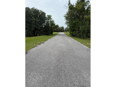Discover the perfect blend of privacy and convenience with this on Rainbow Springs Golf and Country Club in Florida - for sale on GolfHomes.com, golf home, golf lot