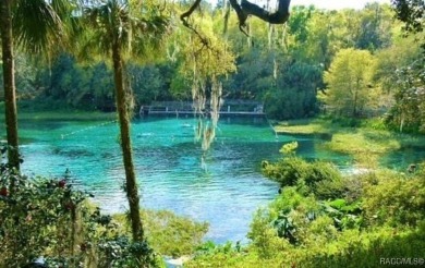 Discover the perfect blend of privacy and convenience with this on Rainbow Springs Golf and Country Club in Florida - for sale on GolfHomes.com, golf home, golf lot