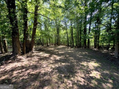 A Rare Opportunity in Traditions of Braselton! Build your on Traditions of Braselton Golf Club in Georgia - for sale on GolfHomes.com, golf home, golf lot