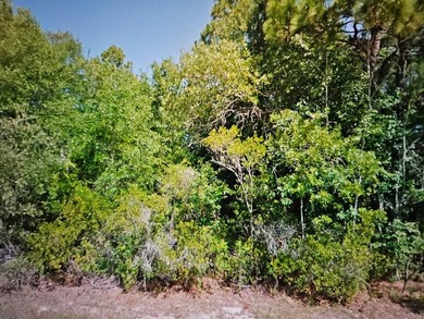 Beautiful 0.314 acre/13,680 sqft residential homesite located in on Citrus Springs Country Club in Florida - for sale on GolfHomes.com, golf home, golf lot
