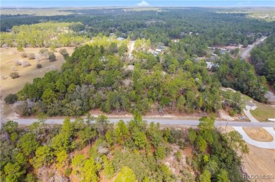 This 1-acre homesite in Citrus Springs is conveniently located on Pine Ridge Community Golf and Country Club in Florida - for sale on GolfHomes.com, golf home, golf lot