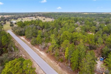 This 1-acre homesite in Citrus Springs is conveniently located on Pine Ridge Community Golf and Country Club in Florida - for sale on GolfHomes.com, golf home, golf lot