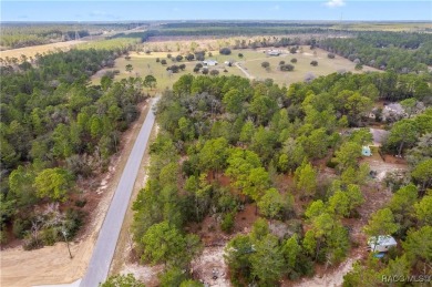 This 1-acre homesite in Citrus Springs is conveniently located on Pine Ridge Community Golf and Country Club in Florida - for sale on GolfHomes.com, golf home, golf lot