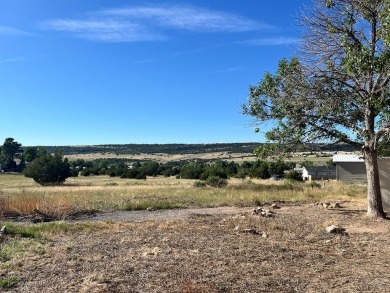 Come check out this charming 3 bed, 2 bath home in Colorado City on Hollydot Golf Course in Colorado - for sale on GolfHomes.com, golf home, golf lot