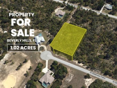 Build your dream home on this beautiful 1.02-acre lot, located on Pine Ridge Community Golf and Country Club in Florida - for sale on GolfHomes.com, golf home, golf lot