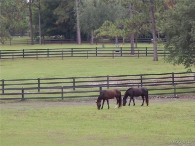 Build your dream home on this beautiful 1.02-acre lot, located on Pine Ridge Community Golf and Country Club in Florida - for sale on GolfHomes.com, golf home, golf lot