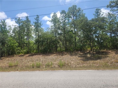 Build your dream home on this beautiful 1.02-acre lot, located on Pine Ridge Community Golf and Country Club in Florida - for sale on GolfHomes.com, golf home, golf lot