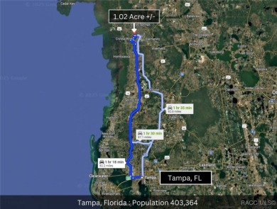 Build your dream home on this beautiful 1.02-acre lot, located on Pine Ridge Community Golf and Country Club in Florida - for sale on GolfHomes.com, golf home, golf lot