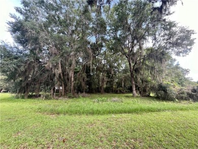 Beautiful Corner Lot in Cooper's Point, close to the dock, not on Sapelo Hammock Golf Club in Georgia - for sale on GolfHomes.com, golf home, golf lot