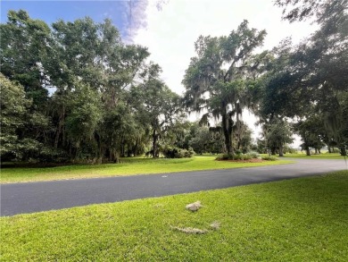 Beautiful Corner Lot in Cooper's Point, close to the dock, not on Sapelo Hammock Golf Club in Georgia - for sale on GolfHomes.com, golf home, golf lot