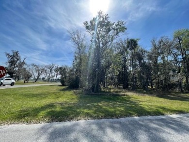 Build your dream home on the fantastic level lot on the corner on Oak Grove Island Golf and Country Club in Georgia - for sale on GolfHomes.com, golf home, golf lot